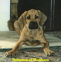 Nahaman of Mombasa