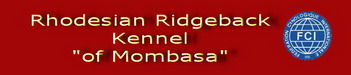 Rhodesian Ridgeback Kennel "of Mombasa"